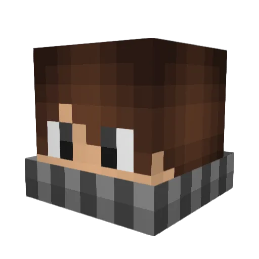 EinnG Minecraft avatar head, 3D render