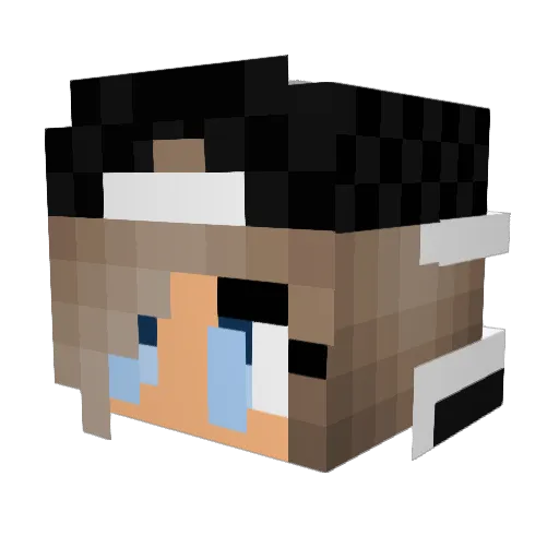 EinsAnna_ Minecraft avatar head, 3D render
