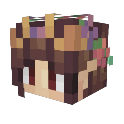 EinsTaiga Minecraft avatar head, 3D render