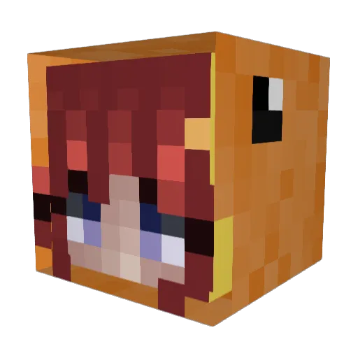 Einsichtiger2 Minecraft avatar head, 3D render