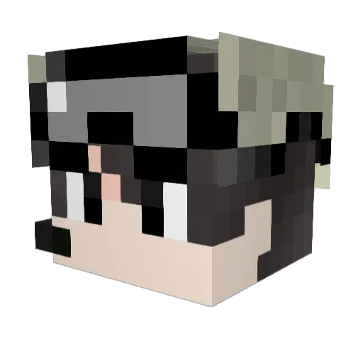 Einss Minecraft avatar head, 3D render