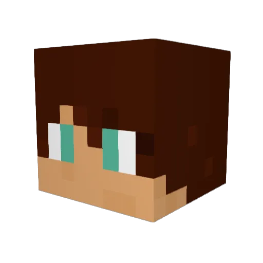 Einstein27 Minecraft avatar head, 3D render