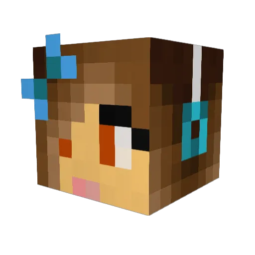 Einstein72099 Minecraft avatar head, 3D render