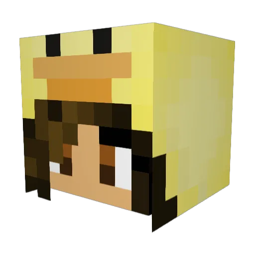 EinsteinCowboy Minecraft avatar head, 3D render