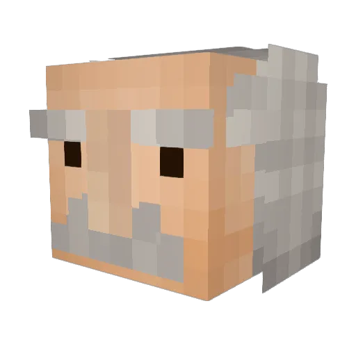 Einstein_089 Minecraft avatar head, 3D render