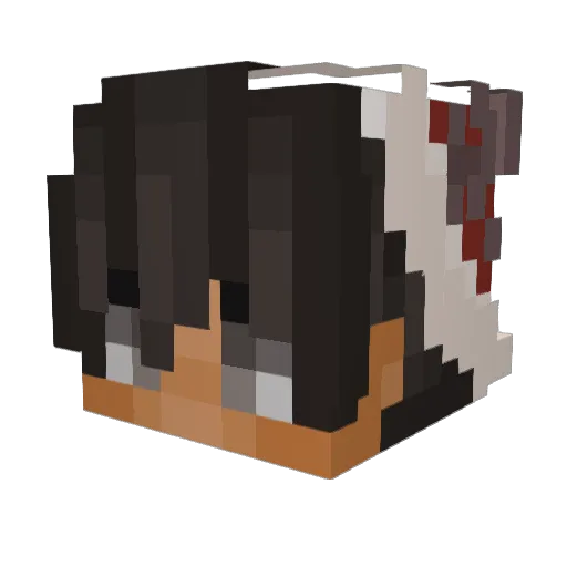 Einstein_90 Minecraft avatar head, 3D render