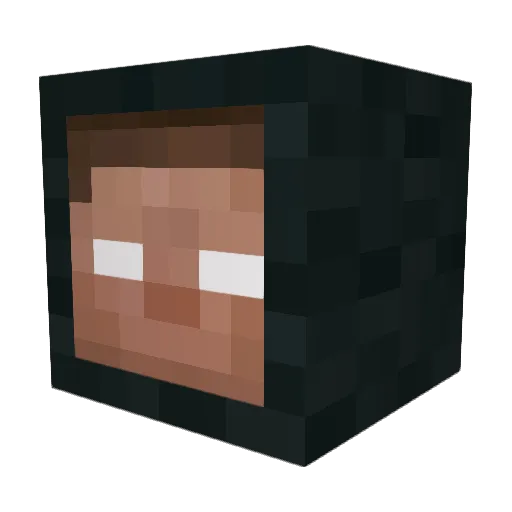 Einstijn02 Minecraft avatar head, 3D render