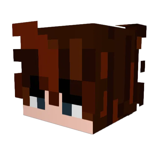 EintopfBenny722 Minecraft avatar head, 3D render
