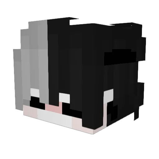 Einuke Minecraft avatar head, 3D render