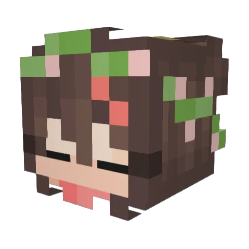 EinzigeEvidenz Minecraft avatar head, 3D render