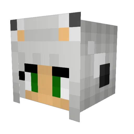 Eira031 Minecraft avatar head, 3D render