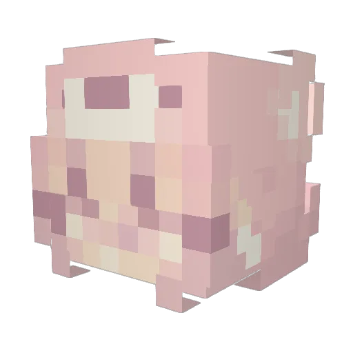 EiraNguyen Minecraft avatar head, 3D render