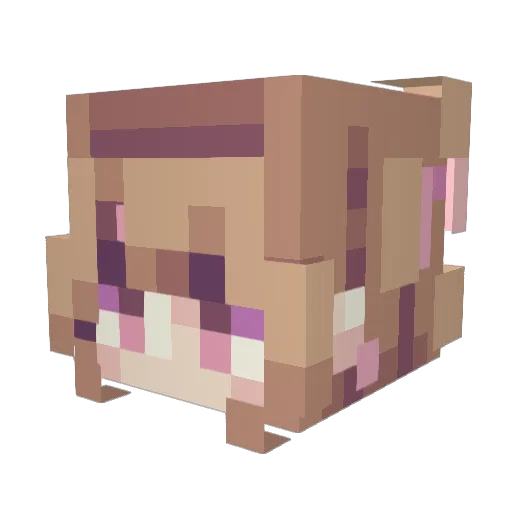 EireneDoggo Minecraft avatar head, 3D render