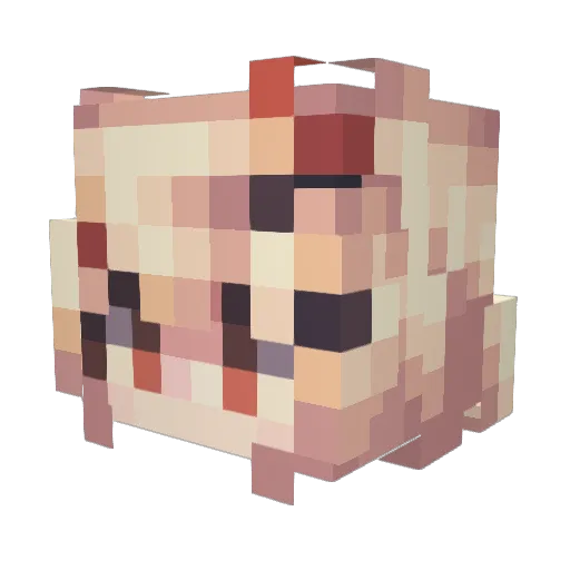 Eirilie Minecraft avatar head, 3D render