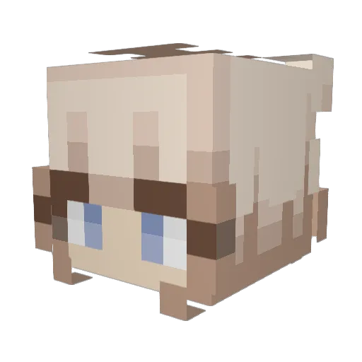Eirin_2005 Minecraft avatar head, 3D render