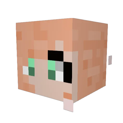 EirisRein Minecraft avatar head, 3D render