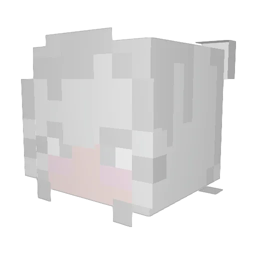 Eirynx Minecraft avatar head, 3D render