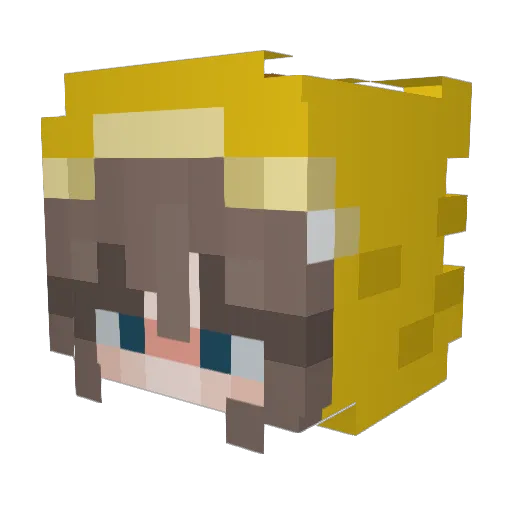 EisJunn Minecraft avatar head, 3D render