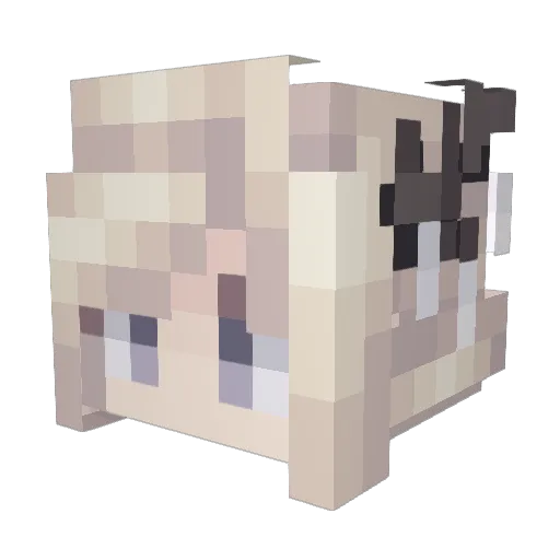 Eise_eye Minecraft avatar head, 3D render