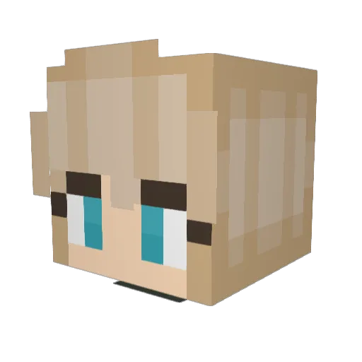 Eisenbaerchen Minecraft avatar head, 3D render