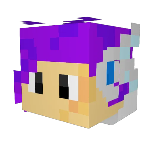 Eisfalke05 Minecraft avatar head, 3D render