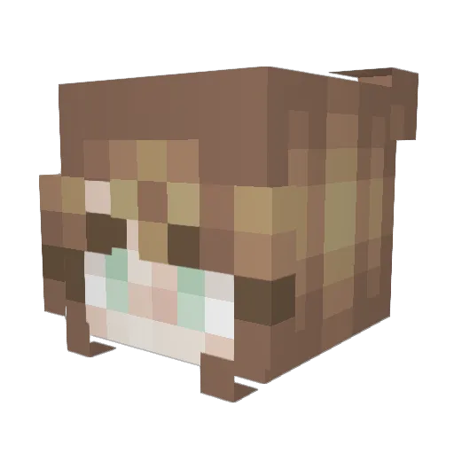 Eisla_ Minecraft avatar head, 3D render