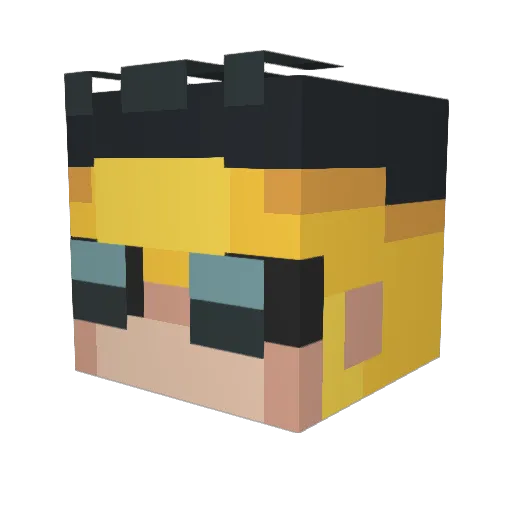 Eiwie_ Minecraft avatar head, 3D render