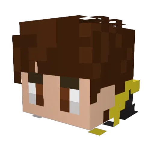 Ej_Nation Minecraft avatar head, 3D render