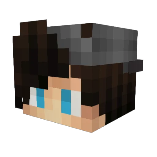 Ejb8842 Minecraft avatar head, 3D render