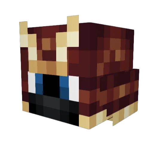 Ejjah Minecraft avatar head, 3D render