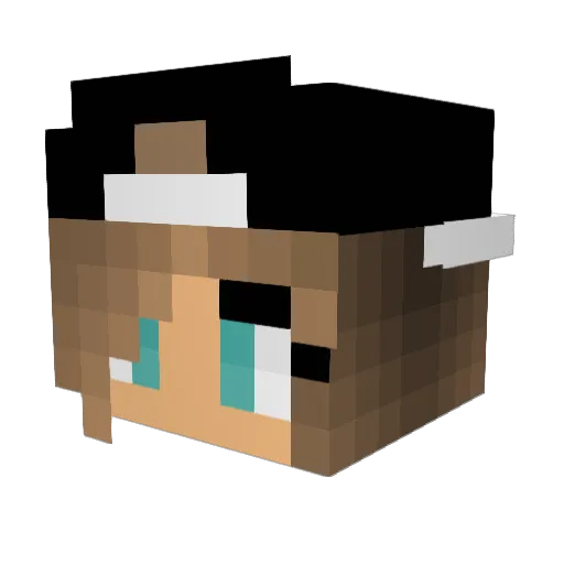 Ejs7528 Minecraft avatar head, 3D render