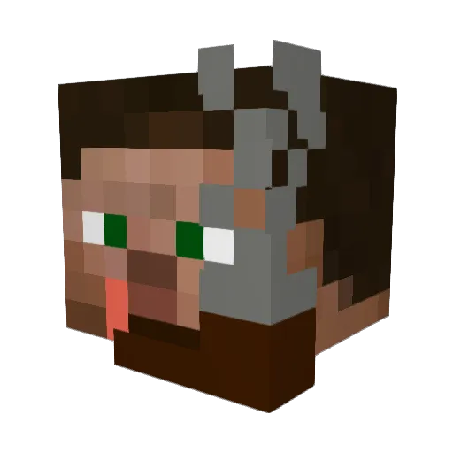 Ejsenhardt Minecraft avatar head, 3D render