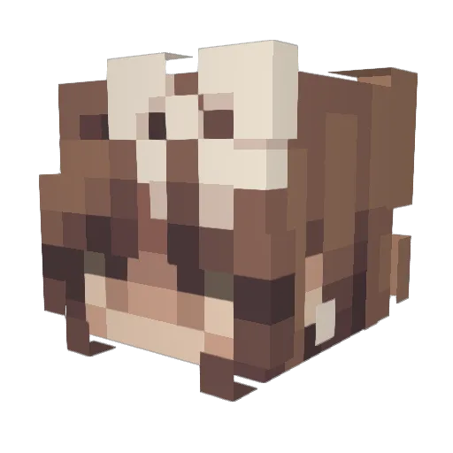 Ejtam Minecraft avatar head, 3D render