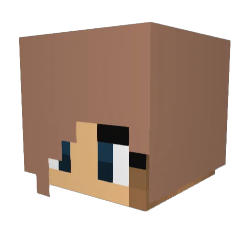 EkerSs Minecraft avatar head, 3D render