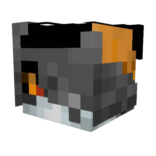 Eki6215 Minecraft avatar head, 3D render