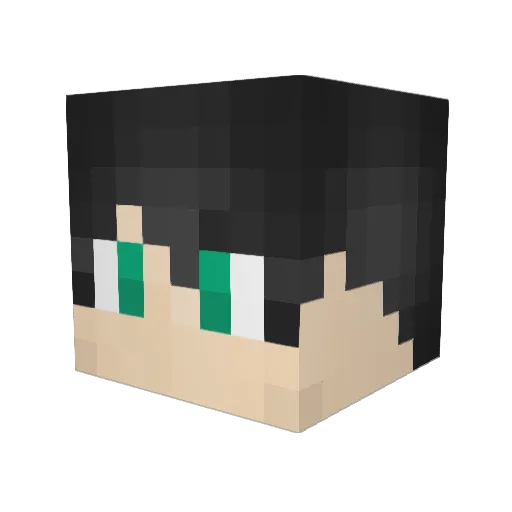 EkkoSysteme Minecraft avatar head, 3D render