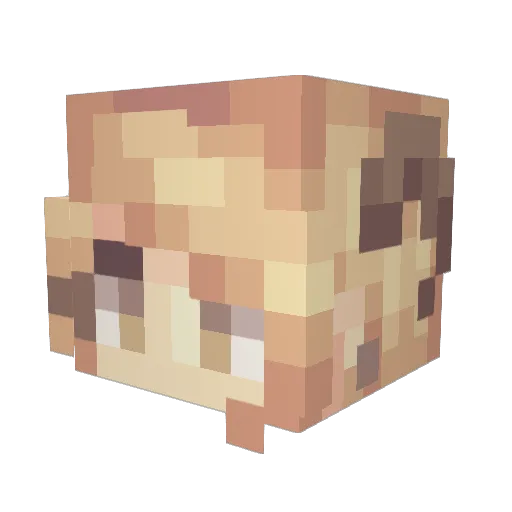 Ekkoree Minecraft avatar head, 3D render