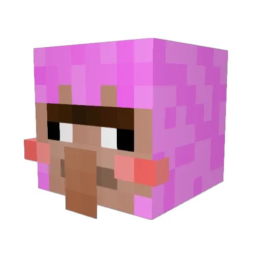 EkkosUwU Minecraft avatar head, 3D render