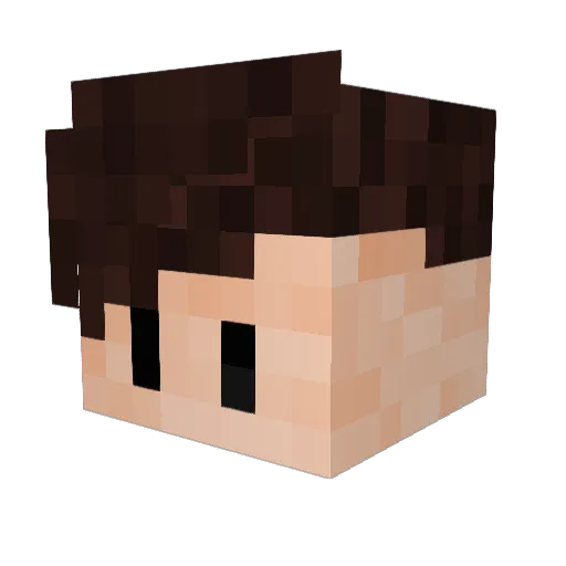 EkoN72 Minecraft avatar head, 3D render