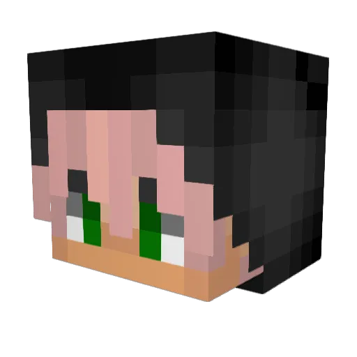 Ekocacola Minecraft avatar head, 3D render