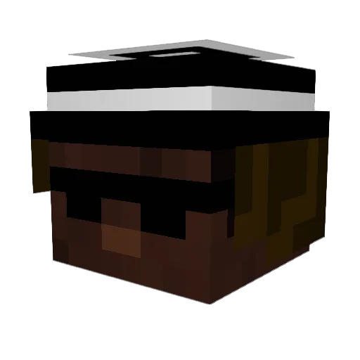 Ekola Minecraft avatar head, 3D render