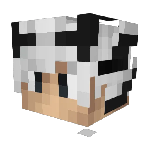 Ekolas Minecraft avatar head, 3D render