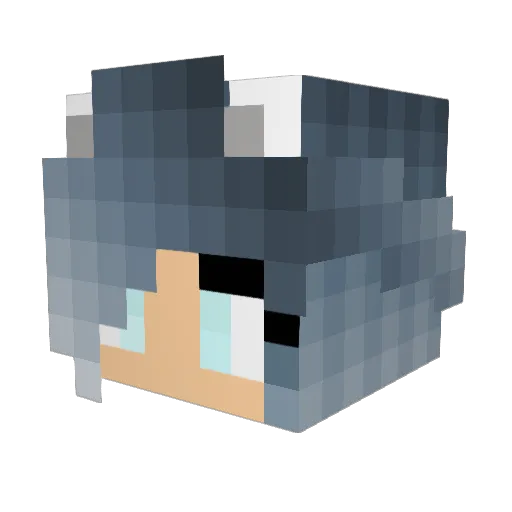 EkpBlaze6 Minecraft avatar head, 3D render