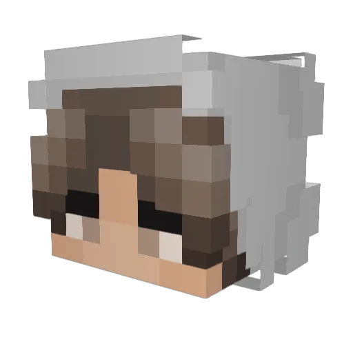 Ekxi Minecraft avatar head, 3D render