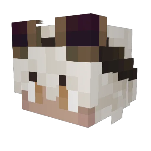 Ekyra Minecraft avatar head, 3D render