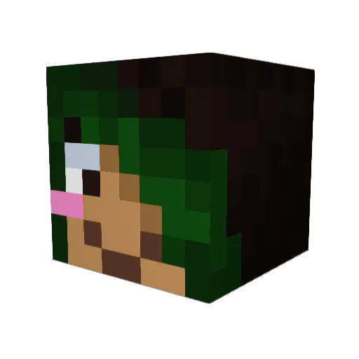 El1s4 Minecraft avatar head, 3D render