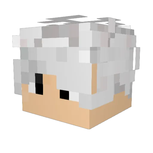 El3cTroFNX Minecraft avatar head, 3D render