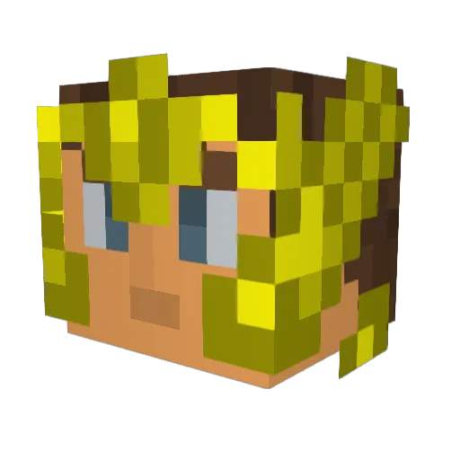 ElCocoSenpai Minecraft avatar head, 3D render