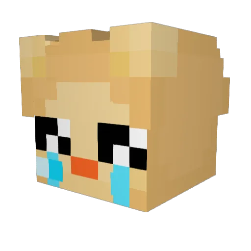 ElCowboii Minecraft avatar head, 3D render