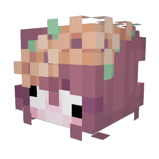 ElDexs Minecraft avatar head, 3D render